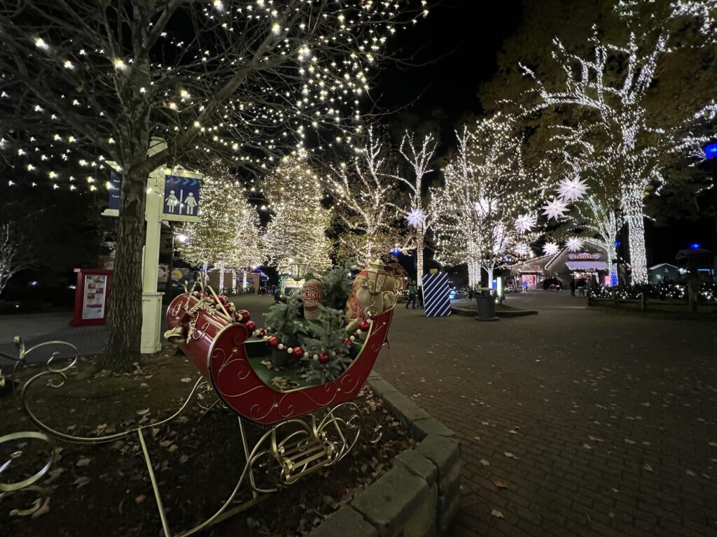 A decorated sleigh with Christmas decorations in a park illuminated by festive lights at night in Carowinds.